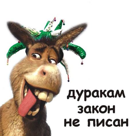 Про дураков (Лариса Рудик) / Стихи.ру