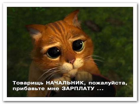 Прикольные картинки про начальника (40 фото) 🔥 BipBap.ru