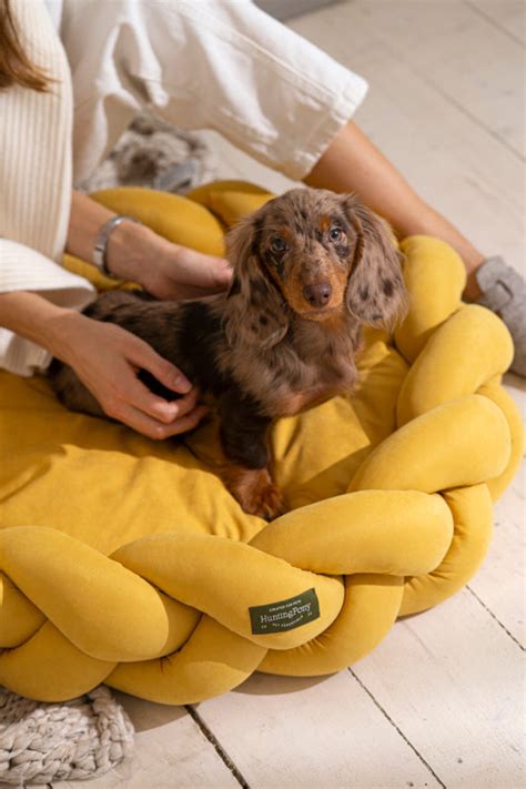 Hunting Pony | The products made with care of Pets