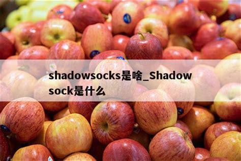 shadowsocks是啥_Shadowsock是什么 - 注册外服方法 - APPid共享网