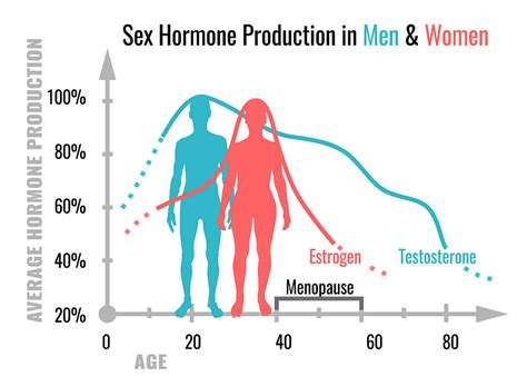 Hormonas Femininas E Masculinas - ¿Cuáles son las funciones de las hormonas sexuales? - Mejor con Salud