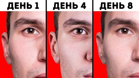 Я Решил Спать 4 Часа в Сутки, и Вот Что Получилось - YouTube
