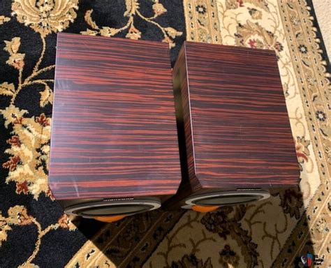 dynaudio exite  rosewoodexcellent photo   audio mart