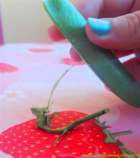 RISOTTO DI BUCCE DI PISELLI | DOMINA HISTORIA