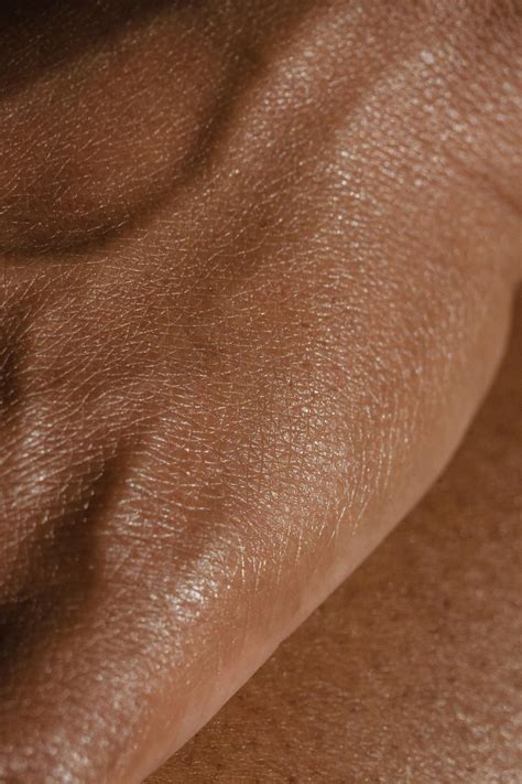 Human Anatomy Scrotum Photos, Download The BEST Free Human Anatomy