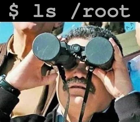 sudo rlinuxmasterrace