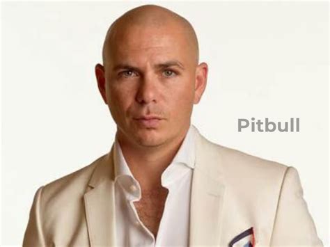 Pitbull Net Worth