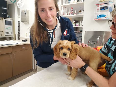 temperance animal hospital temperance michigan 7