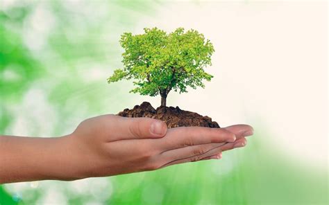 ¿Cómo AYUDAR AL MEDIO AMBIENTE?, los mejores consejos aquí