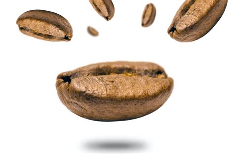 How to export specialty coffee to Europe