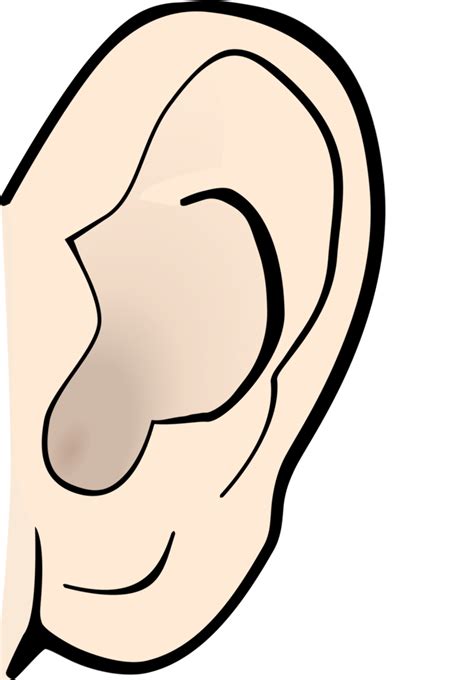 Download High Quality nose clipart sense organ Transparent PNG Images ...