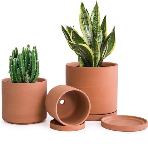 garden pots terracotta