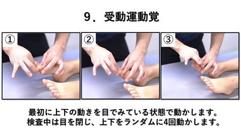 振動覚検査目的, 振動覚 正常値 – PMGNNE