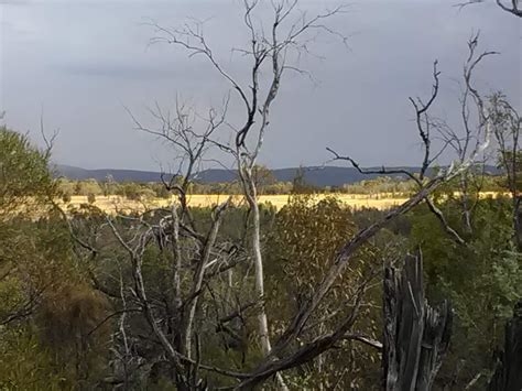 Naturism and non-sexual nudity shared by real Australians.