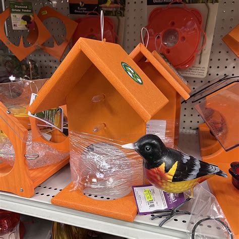 Fruit & Jelly Oriole Feeder - Pierce Milling Inc.