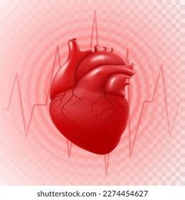 thousand human heart realistic royalty  images stock