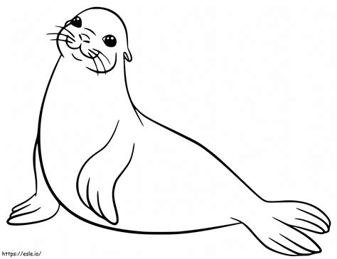 Dibujo para colorear: Precioso león marino