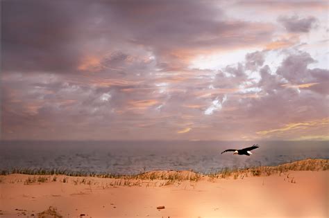 Eagles Landing - Embody Photography