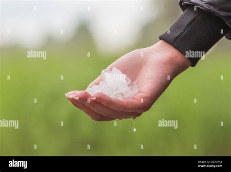 Hand full of hailstones after strong storm Stock Photo - Alamy