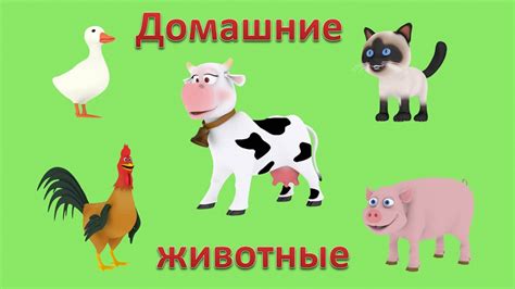 Мультики для малышей. Презентации для детей 3D: Домашние животные ...