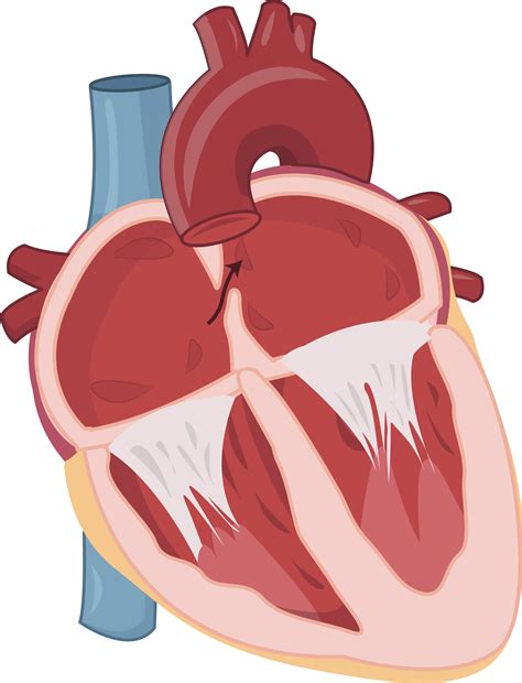 Pfo Icd 10 2