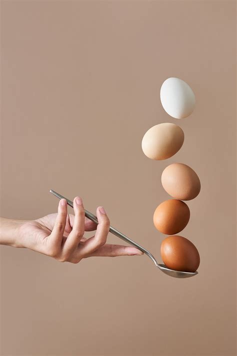 photography inspiration ideas   photography inspiration