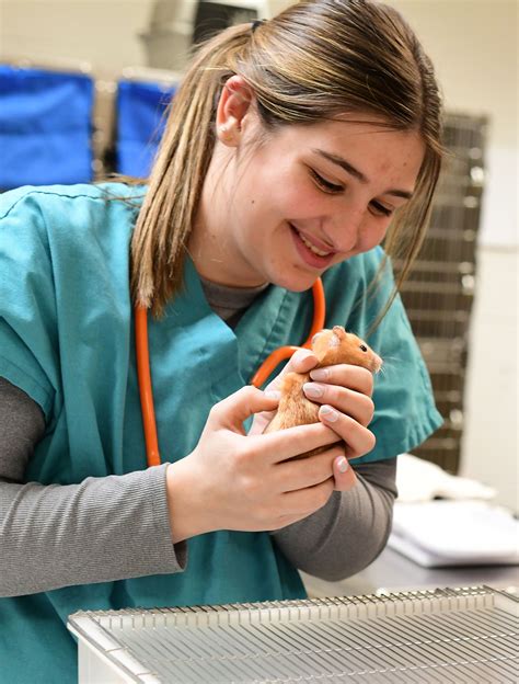 Cody newspaper reports keep the Wyoming community safe and informed 6