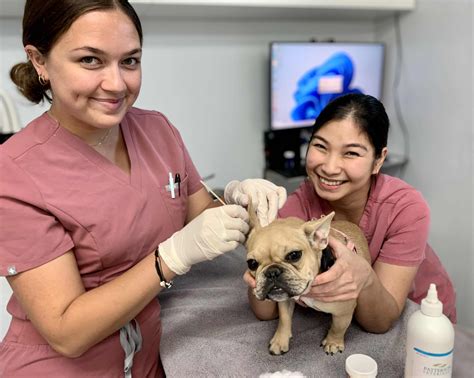 Gallery | Baker Bristol Animal Pet Hospital in Costa Mesa