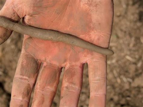 determine liquid limit  soil plastic limit  soil lab