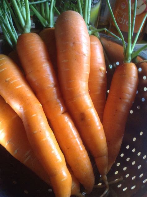 Best carrots ever! | Carrots, Vegetables, Food