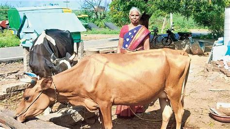 Milk Of Mom’s Hard Work: Girl Hits New Heights - EDairy News India
