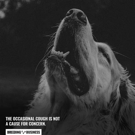 Dog Hiccups – Risks, Prevention, Coughing, Choking & FAQ