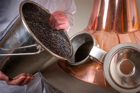 how to distill gin at home