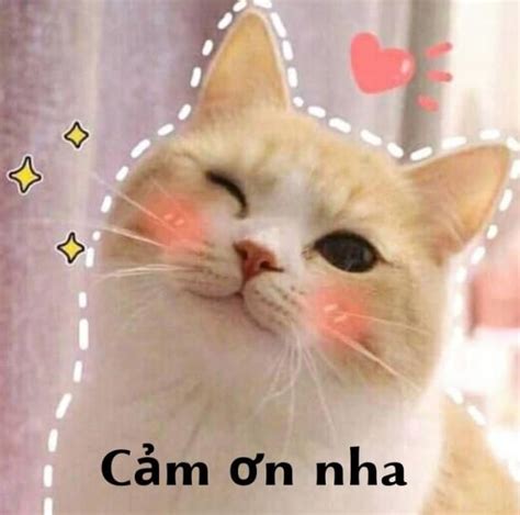 Tổng hợp meme cảm ơn hài hước, cute, bựa