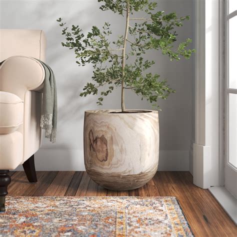 Tall Pots For Trees at Patricia Madden blog