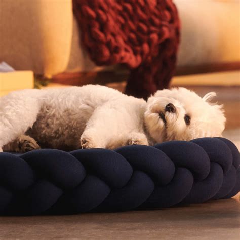 tips for dog sleeping too much indoors 9
