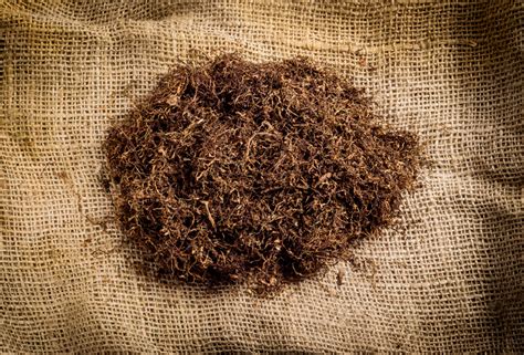 tobacco stocks    problem   planned man