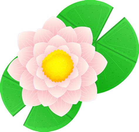Sea Lilies Clipart at Mark Jennings blog