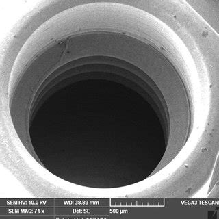 Sem image before cycling tightening and loosening torque in conical ...