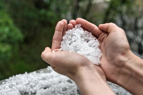 ooggetuige noodweer hagelstenen zo groot als rijstkorrels