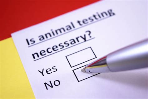 animal testing alternatives ultimate guide cruelty  soul