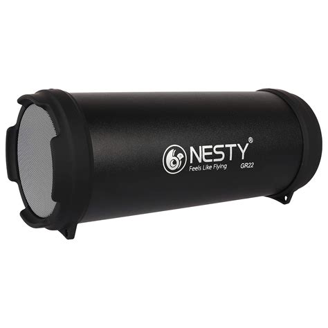 Nesty GR22 6 Watts Bluetooth Portable Speakers (Black) : Amazon.in
