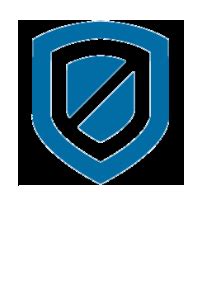 election protection verified voting