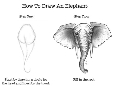 How To Draw An Elephant by SumtimesIplaytheFool on DeviantArt