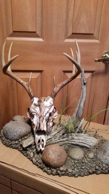 Whitetail European Mount on Reproduction Skull