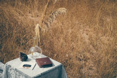 Free Images : tree, sand, wilderness, winter, autumn, season, grass