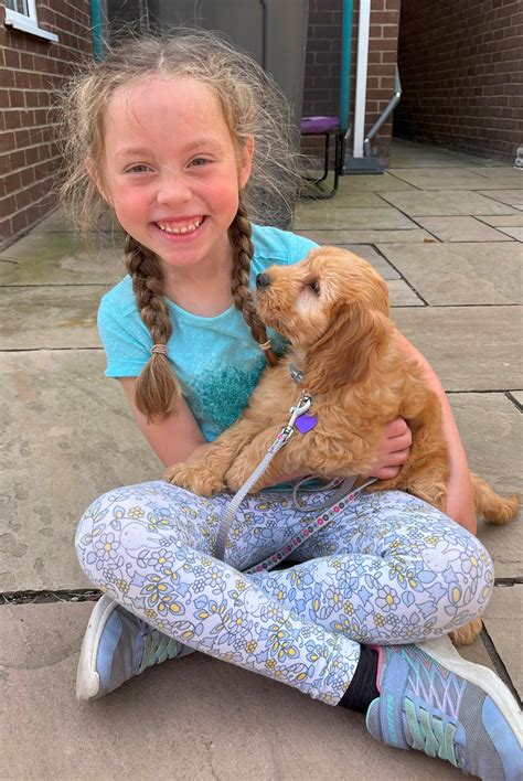 Memorial Tribute and Obituary for Sydne S Green 15