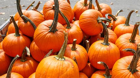 How to make spooky season special, even at home