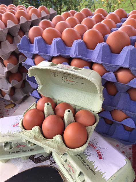 About Us – Manor Farm Eggs