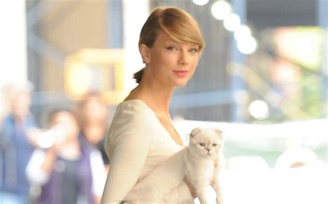 taylor swift's cat net worth